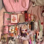 Mi vida en mi bolso.