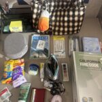 daily carry for traveling between offices