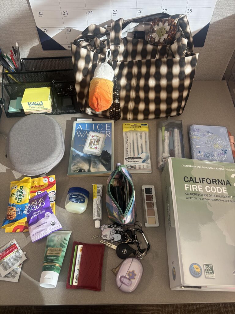 daily carry for traveling between offices