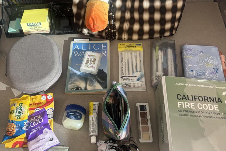 daily carry for traveling between offices