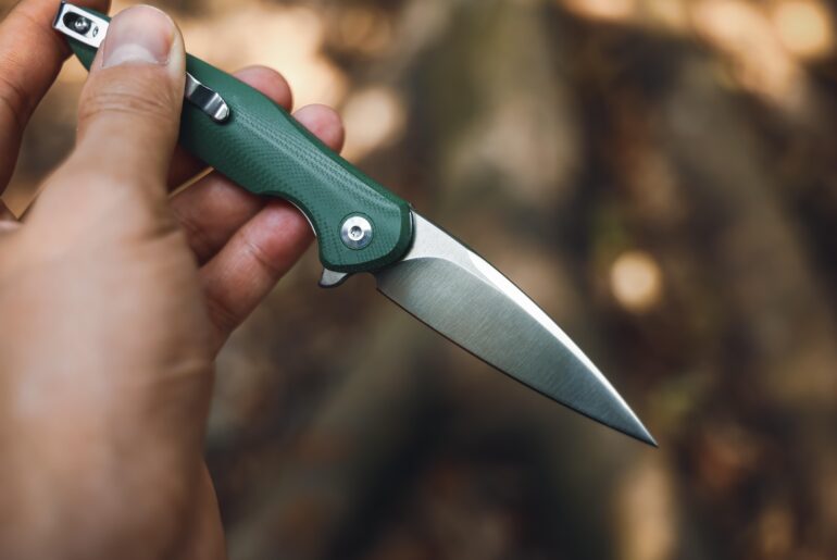 Found a new companion for my forest hikes.