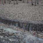 Sometimes you spot a black hole that just needs to be filled.