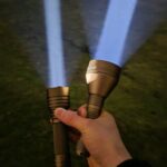 L21B SBT90 Beans with Comparisons!