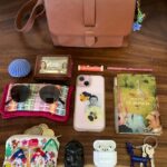 New purse. Old goodies 🌼