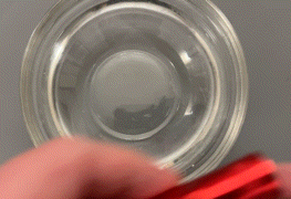 Cheapo AA flashlight battery change, underwater edition