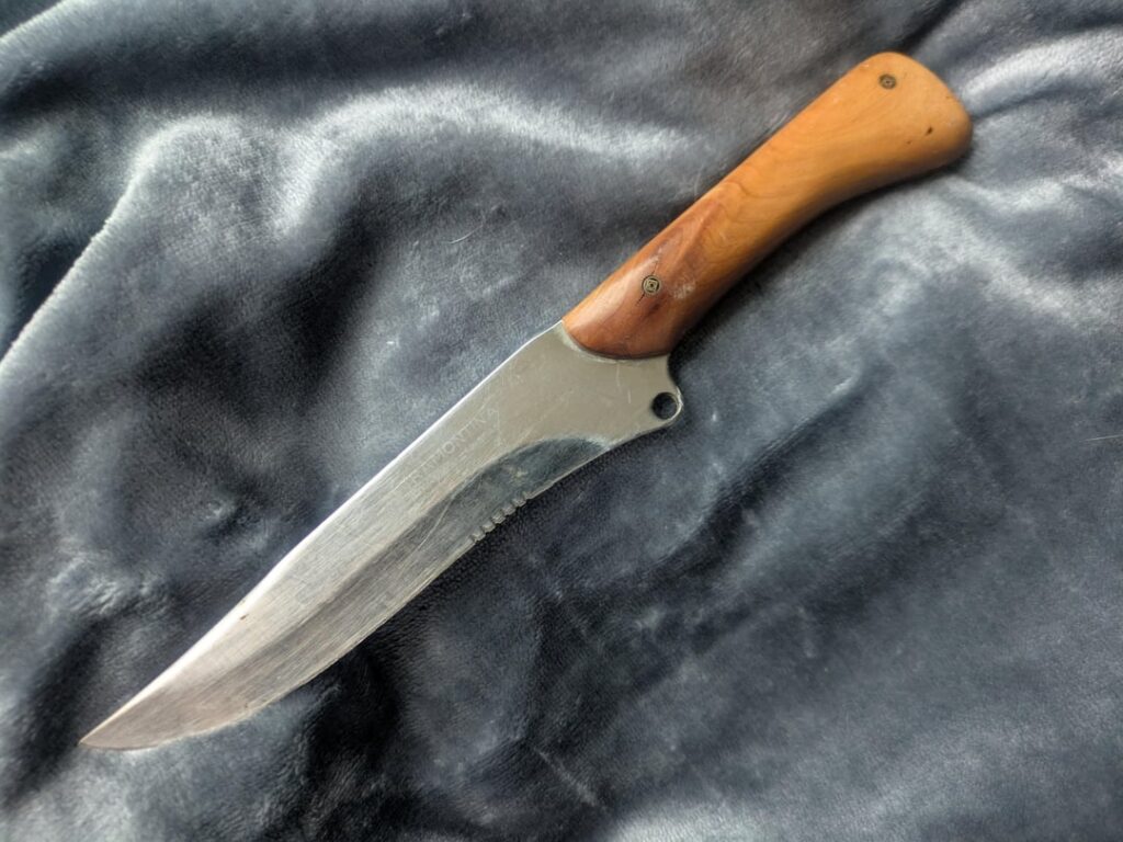 Any information would be appreciated