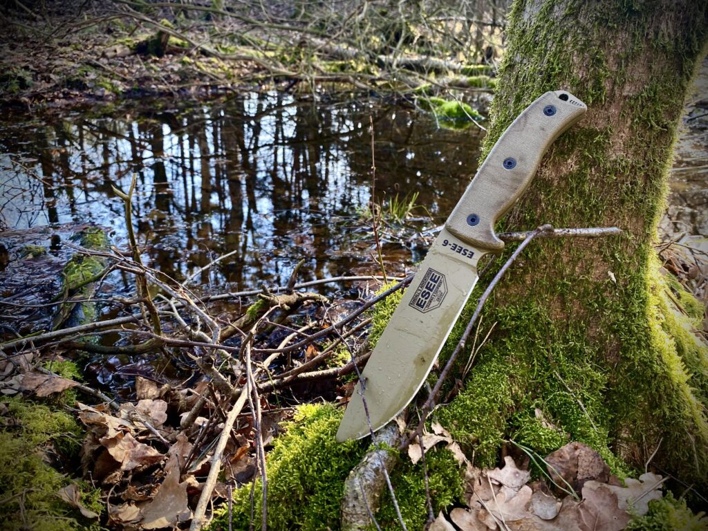 Esee's first trip to the woods.