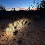 3000k as light for snapshots