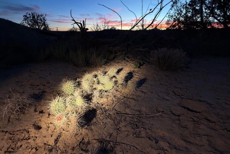 3000k as light for snapshots