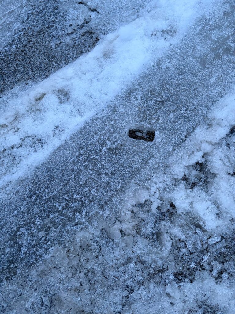 It survived lol.