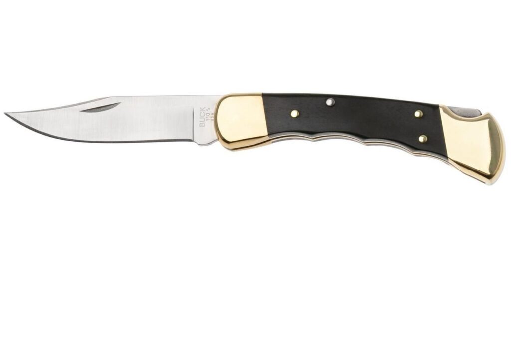 Buck 110 with Flipper / button lock