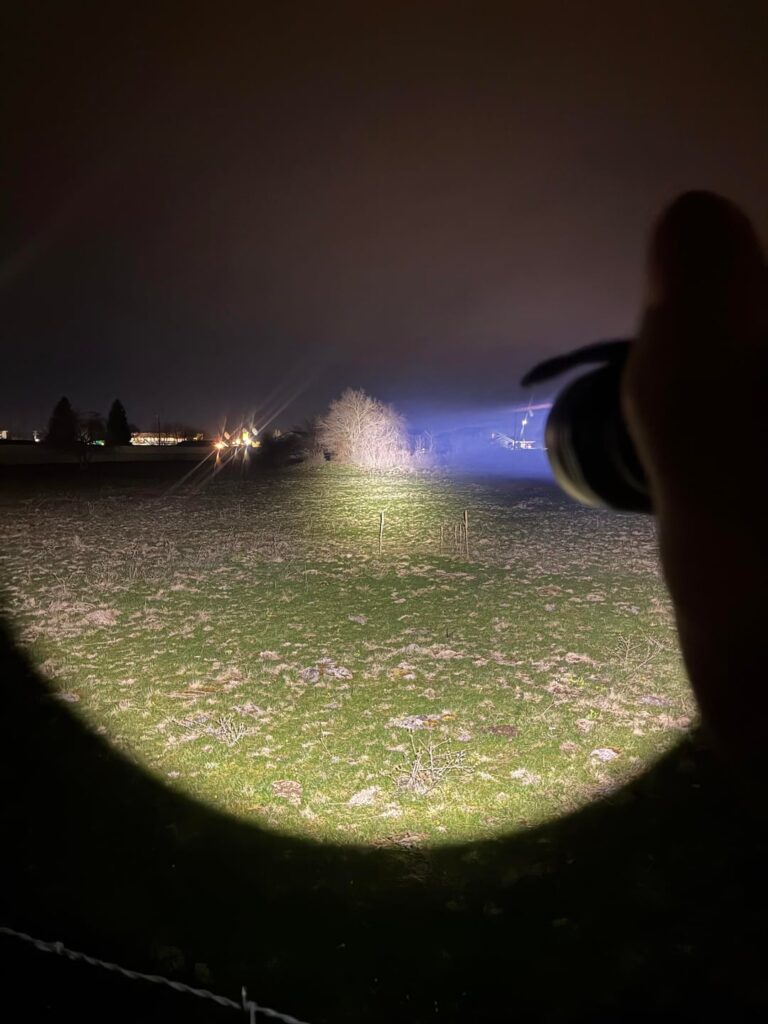 C8+ Fresnel Mod. SFT42R 5000K before and after photos.