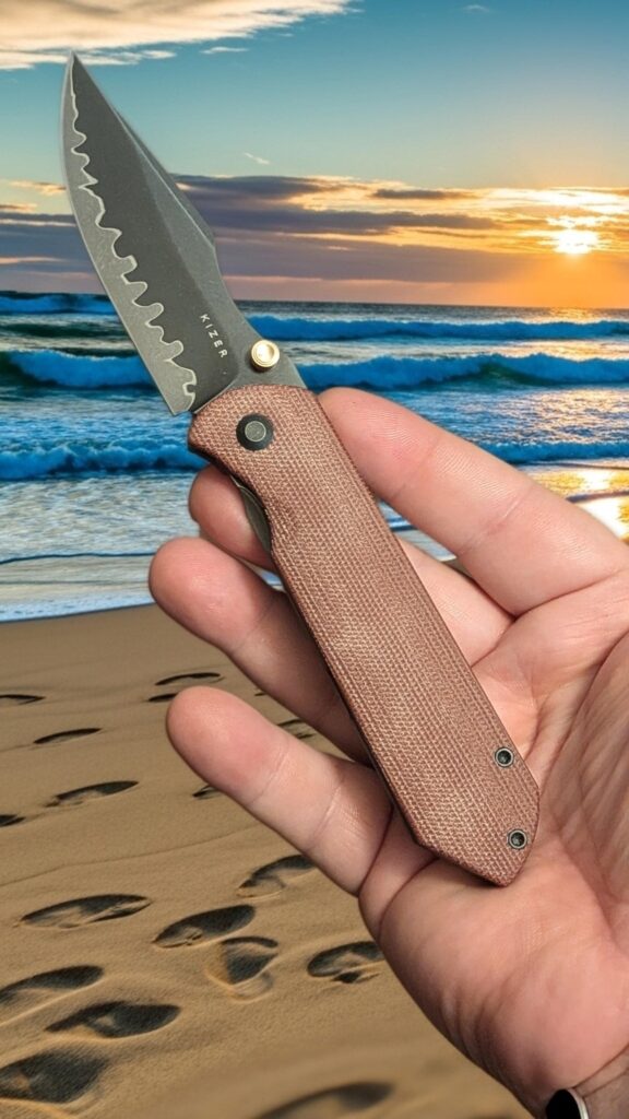 Kizer Harpoon fold
