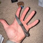 New Jakebcreates Chikadee python paradox