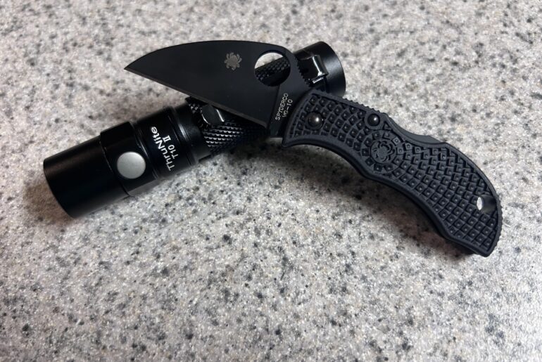 Wednesday carry-micro edition