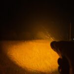 Field and Tree Beamshots with Convoy M21b LHP73b 1,800k - Emisar D3aa NTG35 1,800k - Olight Warrior Pro XHP35 HI 3,000k - Album on Imgur