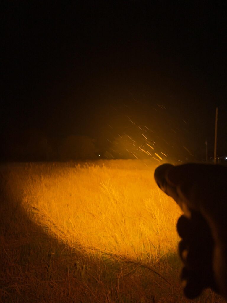 Field and Tree Beamshots with Convoy M21b LHP73b 1,800k - Emisar D3aa NTG35 1,800k - Olight Warrior Pro XHP35 HI 3,000k - Album on Imgur