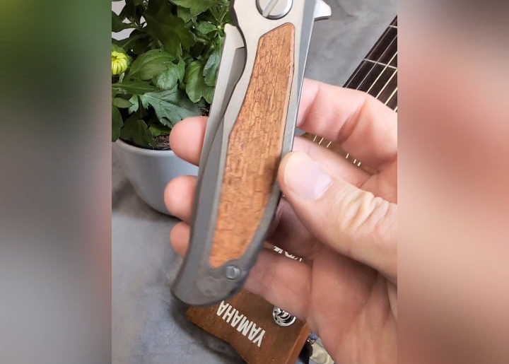 NKD SHIROGOROV F95NL CANAITO S90V