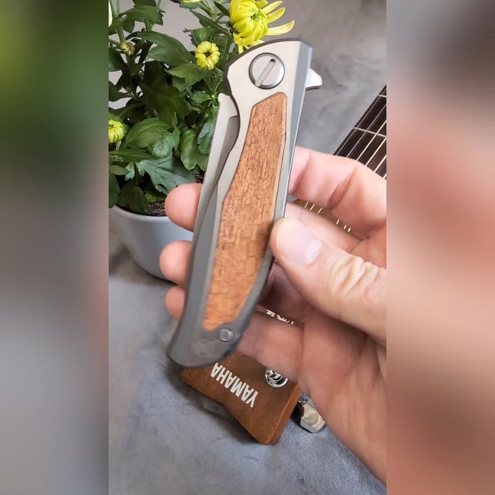 NKD SHIROGOROV F95NL CANAITO S90V