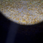 TS-27 in the dark…