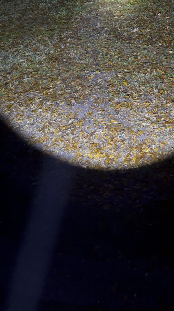 TS-27 in the dark…