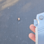 Morning walk with my Serenity Rift Lock Proto.