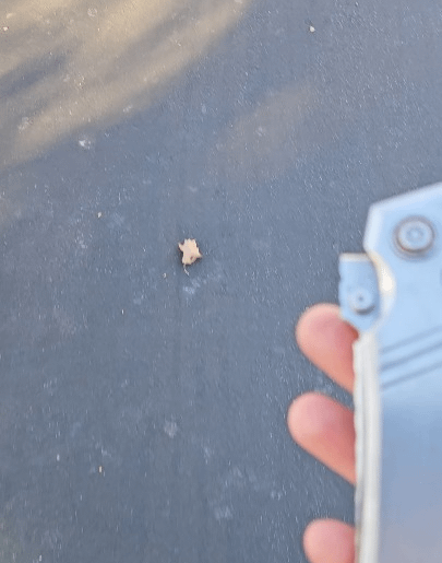 Morning walk with my Serenity Rift Lock Proto.