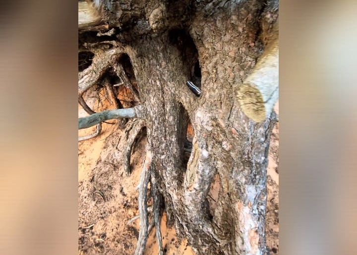 NKD full custom DOCK