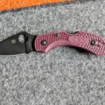 New little Spyderco in the mail today!