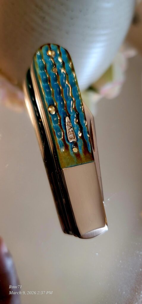 First sea dragon 🐉