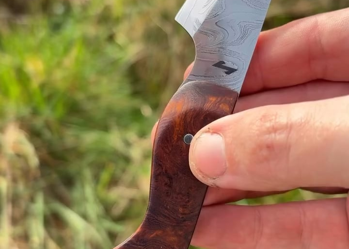 Vireo, a compact utility knife.