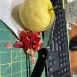 This one is an old one.