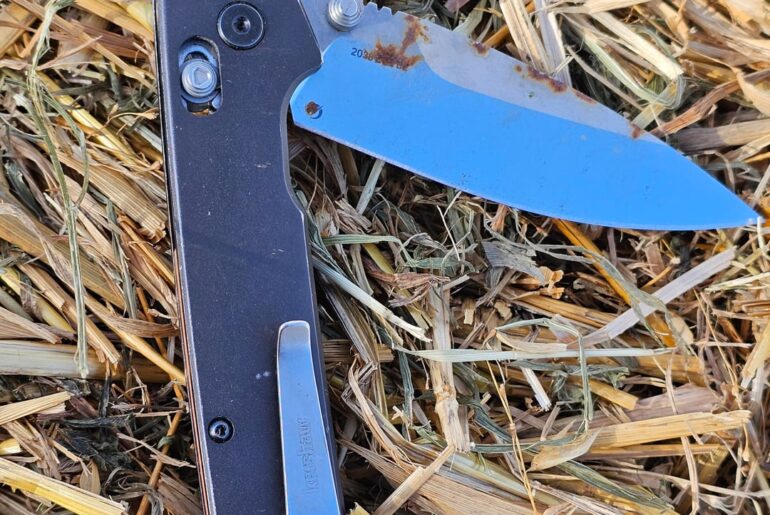 Lost in November found today!