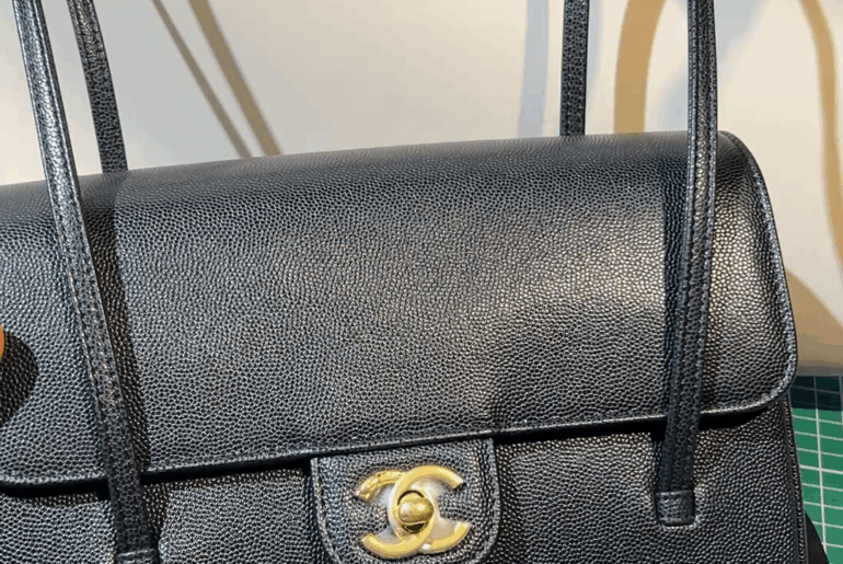 Chanel perppy Coco bag