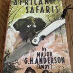 NKD! Large Sebenza 31 Elfroyn