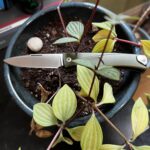 Happy Saint Patrick’s Day Carry