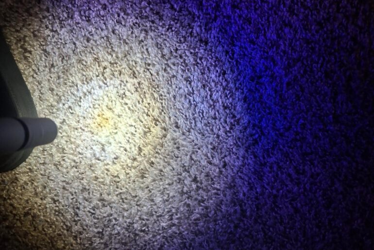 Energizer UV Pen Light not working?