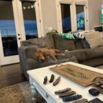 My Knife Dog! My very best friend!