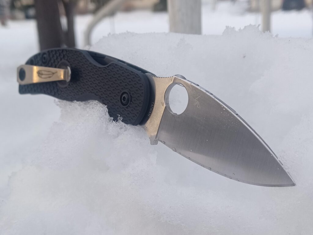 Spyderco Sage 5 Salt