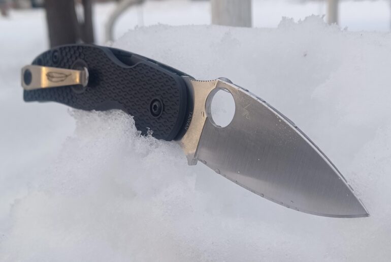 Spyderco Sage 5 Salt