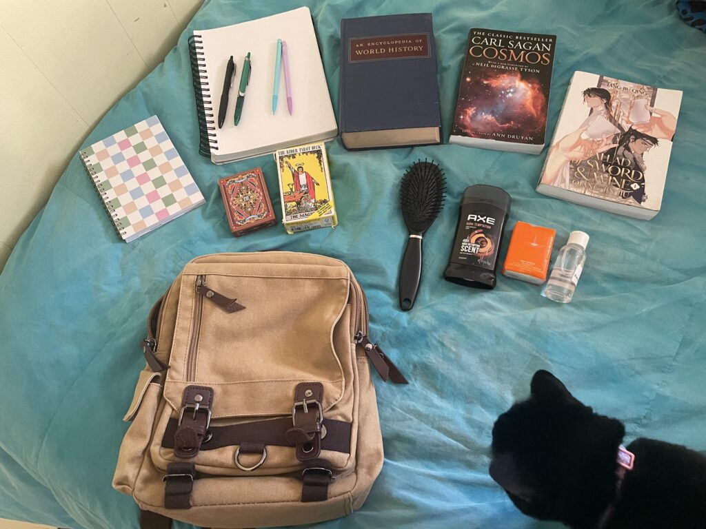 I just love this concept & wanted to share my bag! (Featuring my cat!)