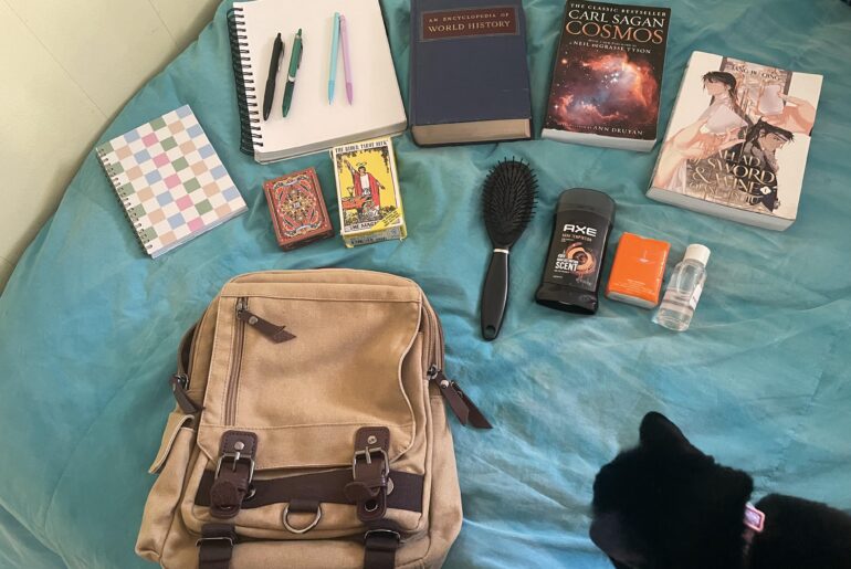 I just love this concept & wanted to share my bag! (Featuring my cat!)