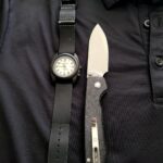 For Monday. . . Vosteed Raccoon and Bertucci A-2TE