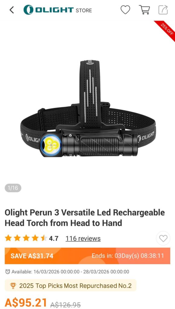 Head torch suggestions under $100