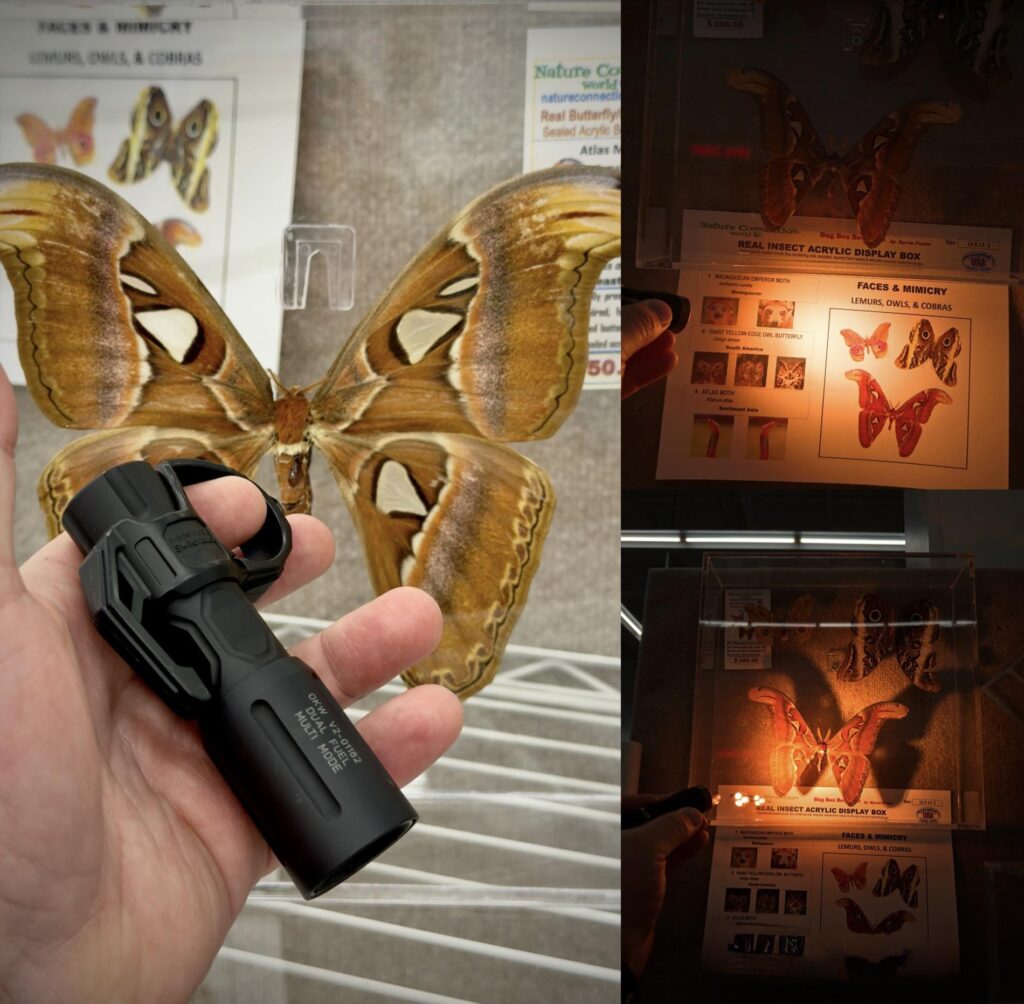 Shopping with the wife. I couldn’t resist pictures with my spirit animal.