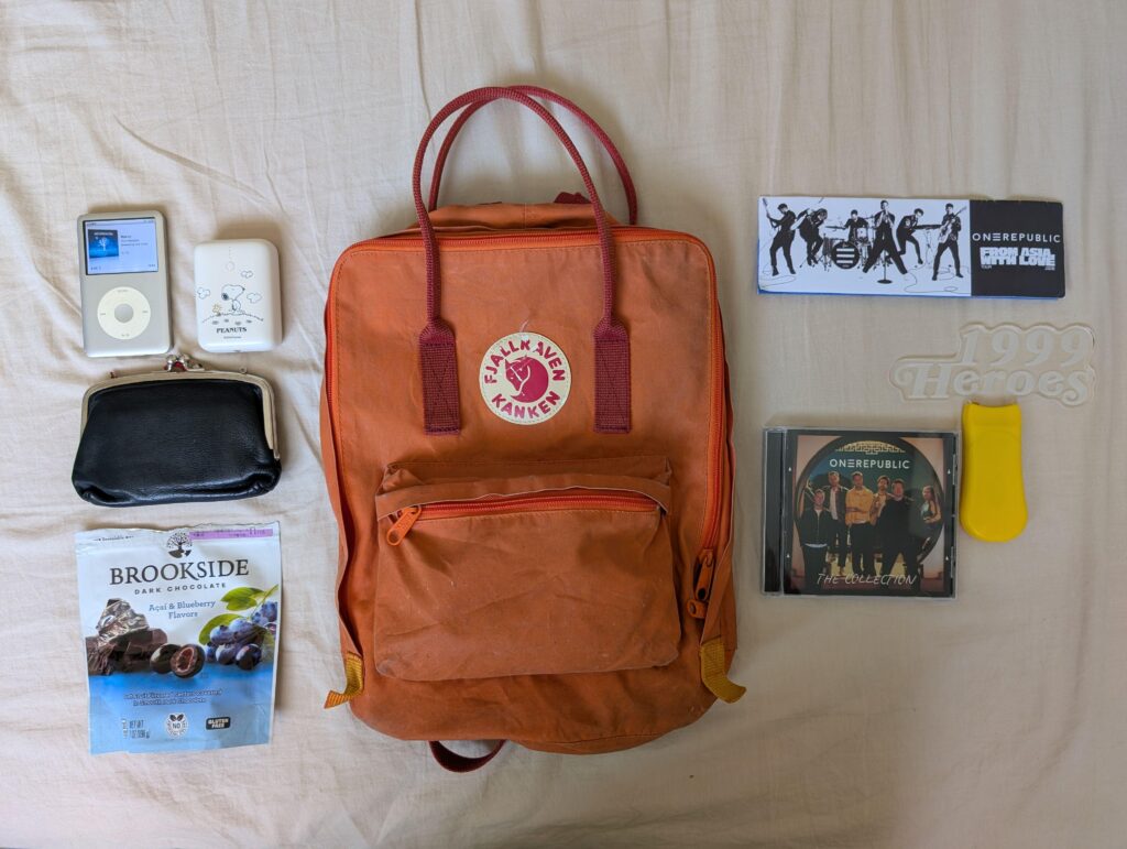 Concert Essentials! 🎸