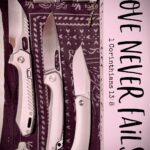 🐫Y’All Know What Day It Is — Humpday Carries Check 🐪