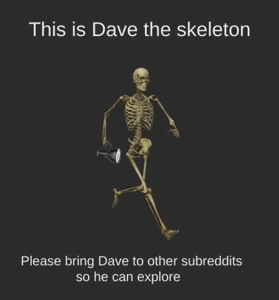 Dave wanted to explore. I gave him a flashlight so he could find his way around.