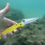 Pacific salt in the pacific salt