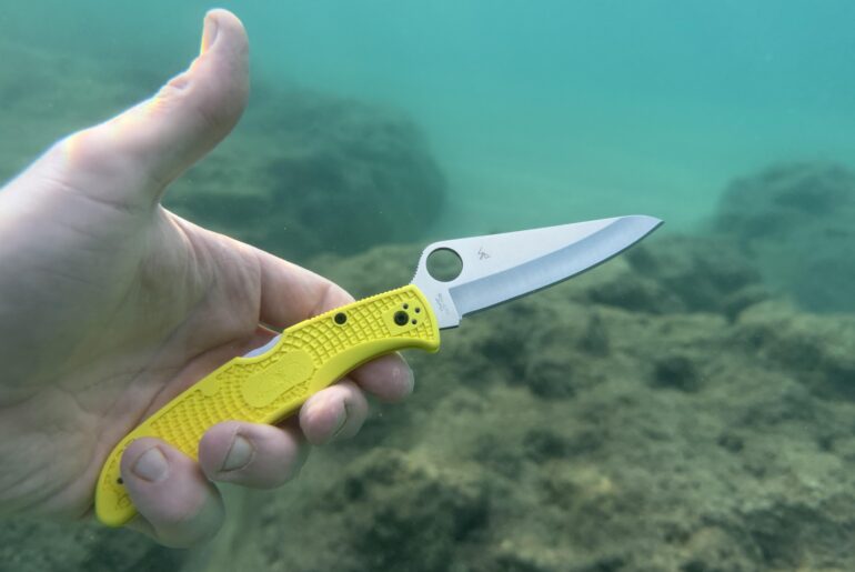 Pacific salt in the pacific salt